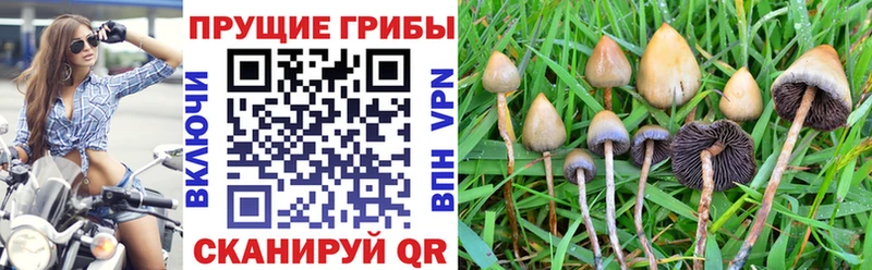 ссылка на мегу ONION  Кемь  Псилоцибиновые грибы мицелий 